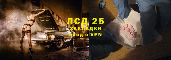 стаф Алзамай