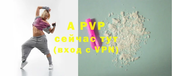 apvp Алексин