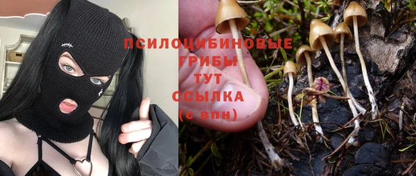 apvp Алексин