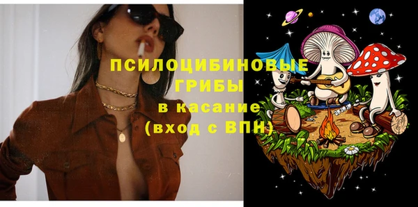 дживик Аркадак